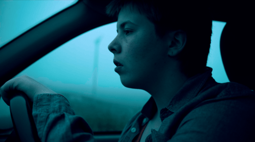 Francesca Taylor Coleman in Danni the Champion